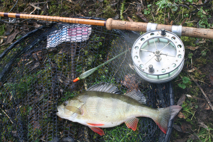 Fishing with Lee - 2 - River Reads